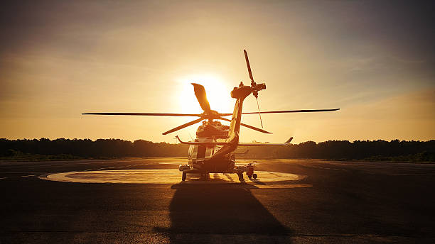 Airfield/Heliport Alarm System